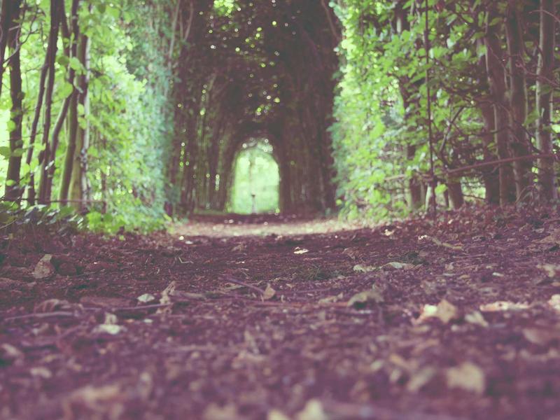 LervonAstraInul Rosario